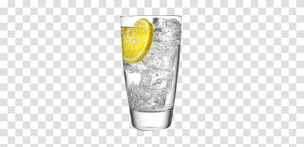 Water Glass, Drink, Plant, Beverage, Citrus Fruit Transparent Png