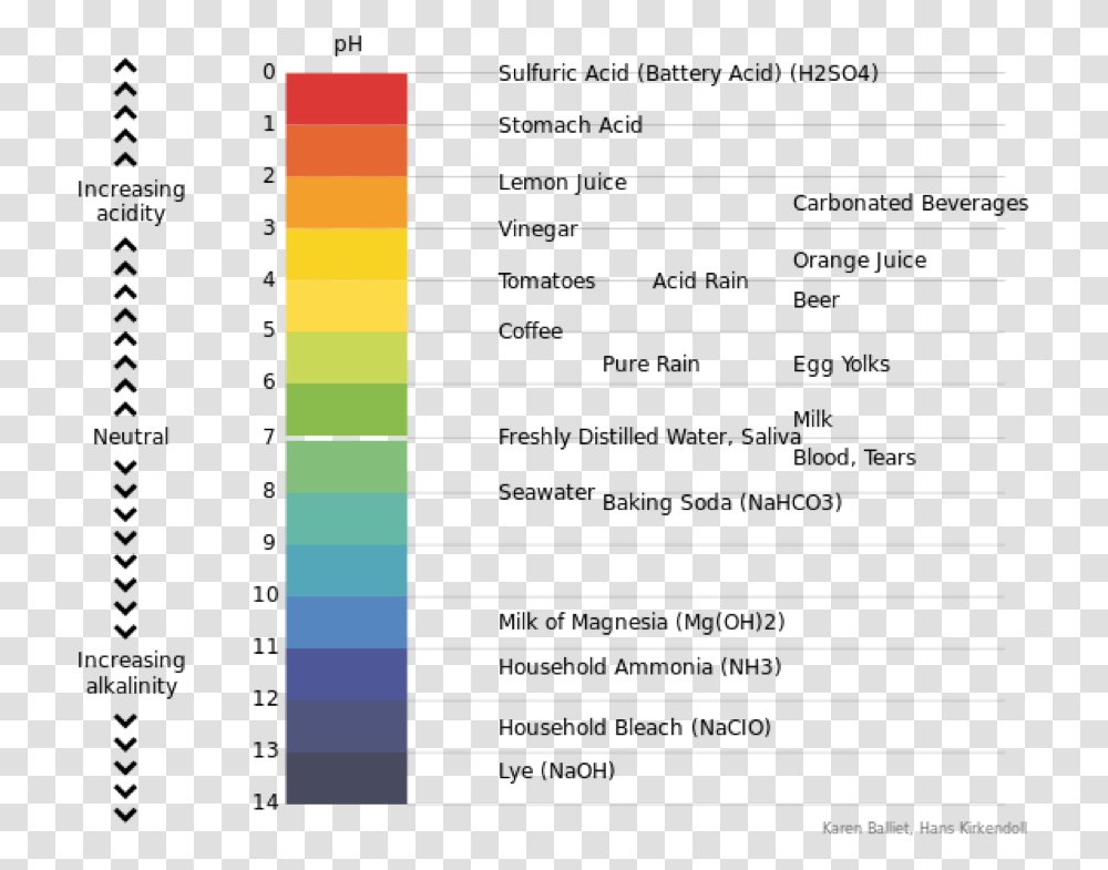 Water Hardness And Ph - Understanding Ingredients For The Ph Is Stomach Acid, Home Decor, Text, Page, Number Transparent Png
