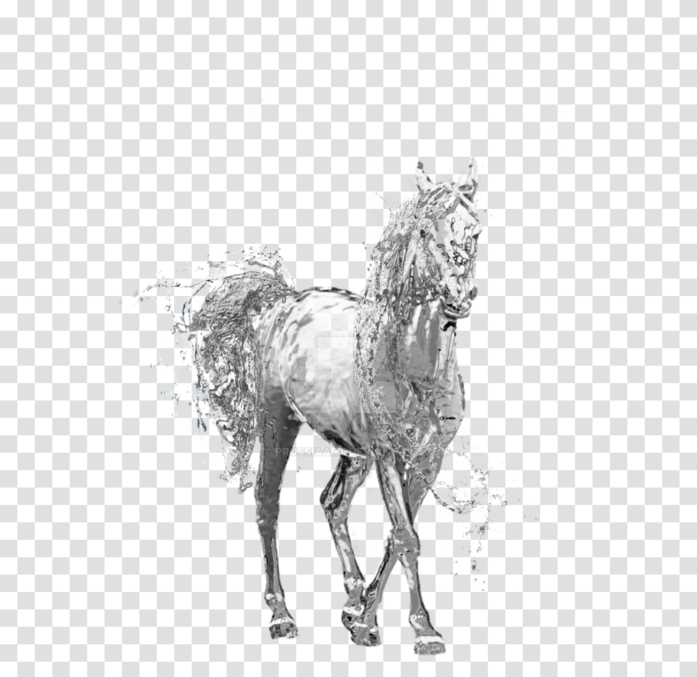 Water Horse Water Horse Background, Mammal, Animal, Head, Art Transparent Png