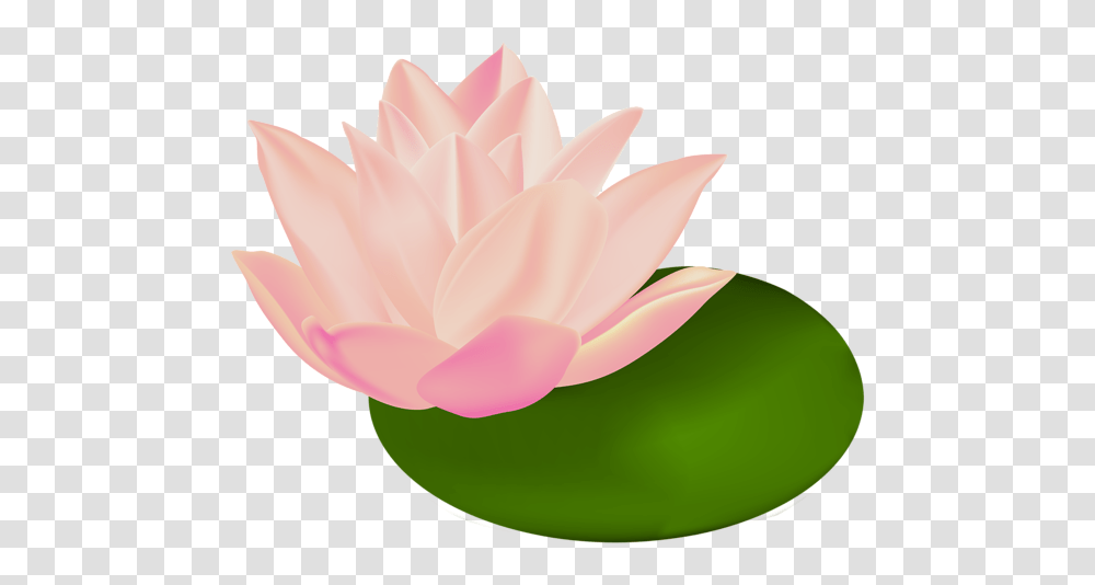 Water Lily Clip Art Image Aa Flores, Plant, Rose, Flower, Blossom Transparent Png