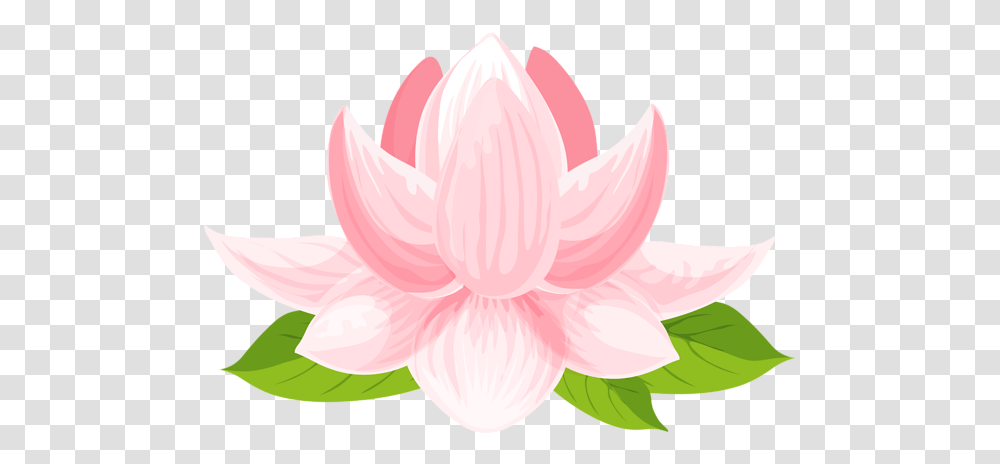 Water Lily Clip Art Image Lily Rose Flower Graphic, Dahlia, Plant, Blossom, Petal Transparent Png