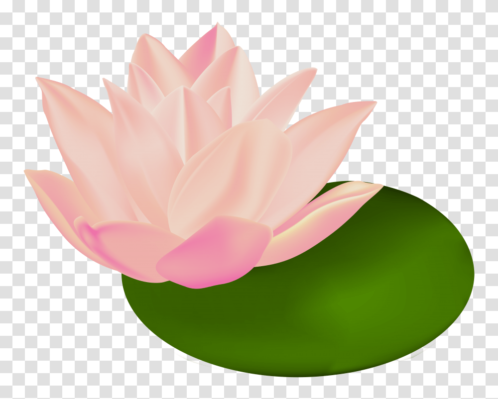 Water Lily Clip Art, Plant, Flower, Blossom, Pond Lily Transparent Png