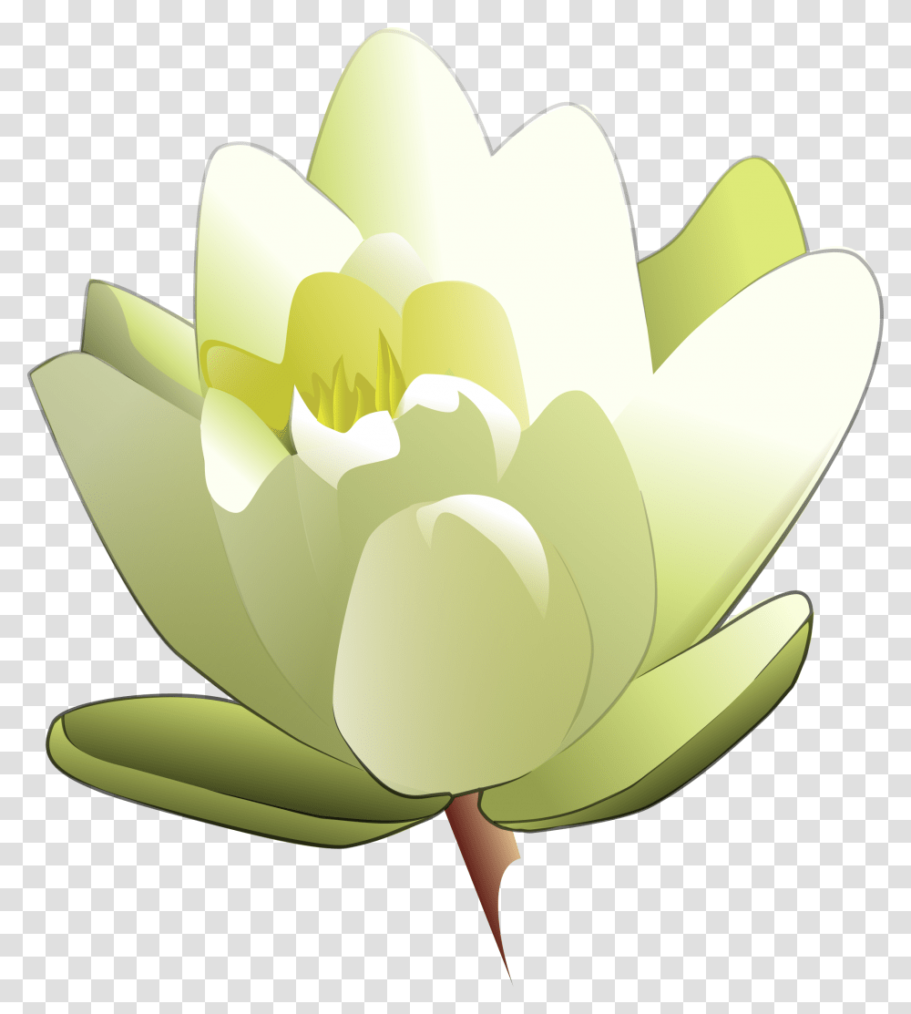 Water Lily Icons, Plant, Flower, Blossom, Pond Lily Transparent Png
