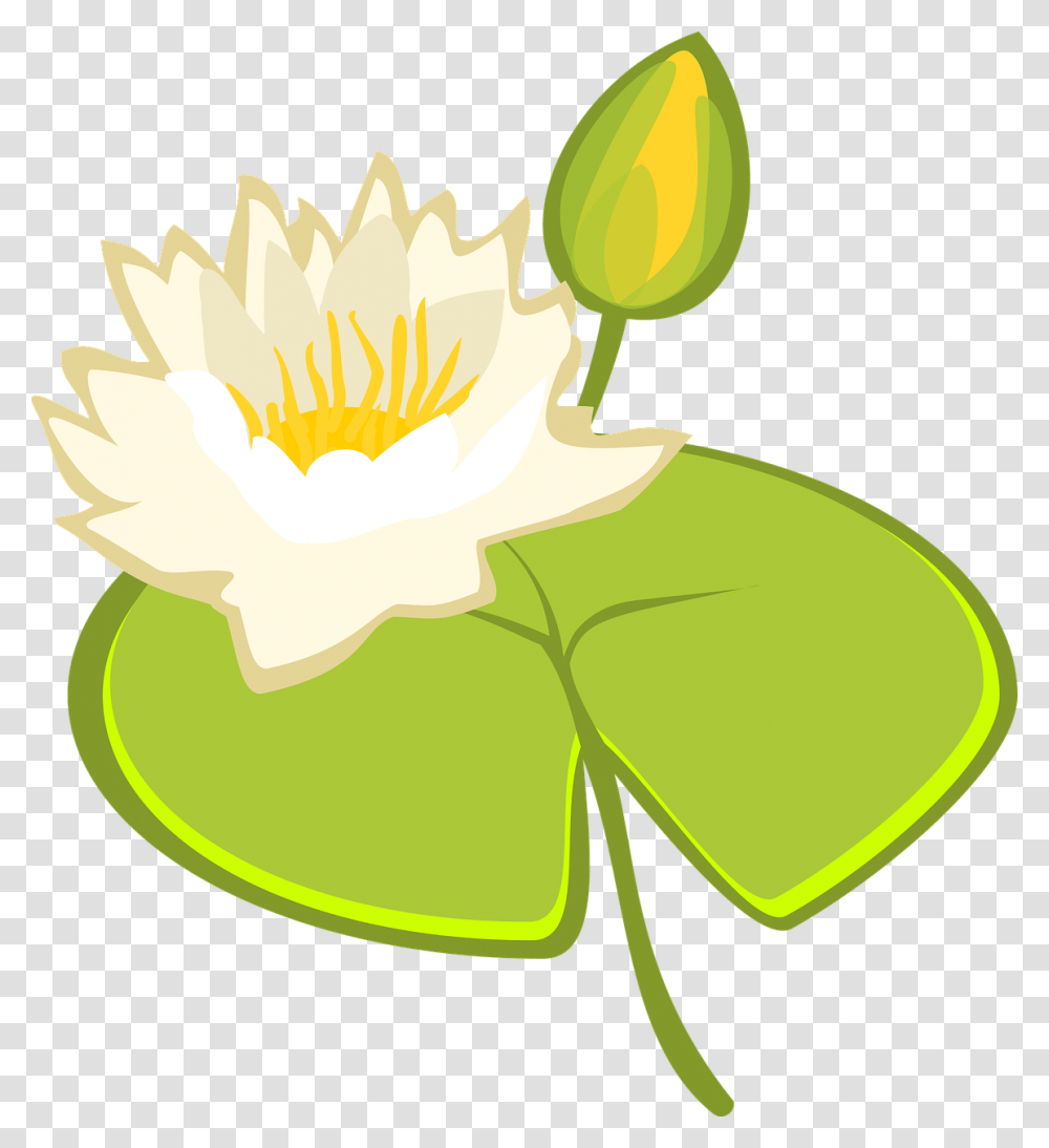 Water Lily Lake Free Vector Graphic On Pixabay Clip Art, Plant, Flower, Blossom, Pond Lily Transparent Png