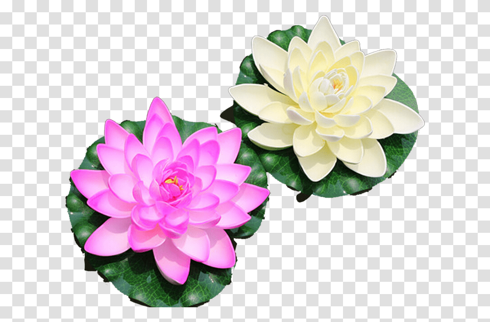 Water Lily Nelumbo Nucifera Artificial Lotus Flower Top View, Plant, Blossom, Pond Lily, Dahlia Transparent Png