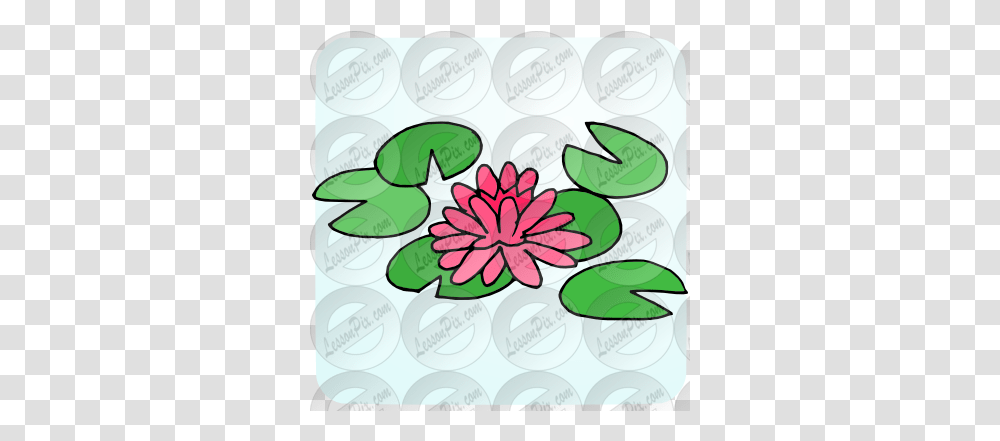 Water Lily Picture For Classroom Therapy Use Great Water Clip Art, Floral Design, Pattern, Graphics, Plant Transparent Png