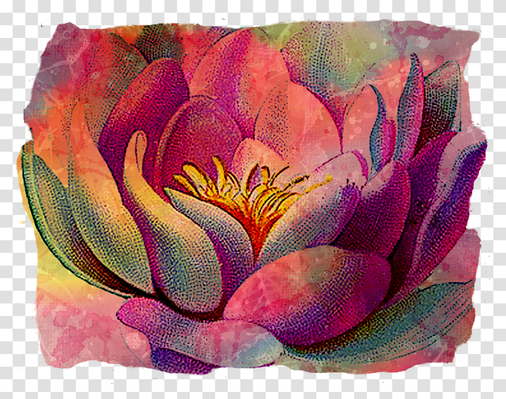 Water Lily Tattoo Designs Plant Flower Blossom Rug Transparent Png Pngset Com