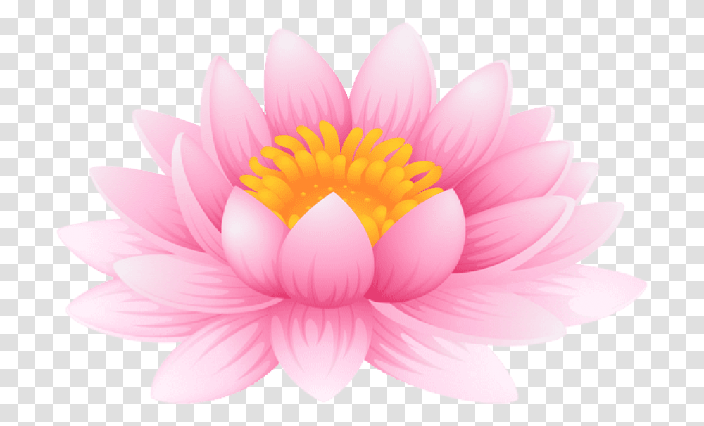 Water Lily Water Lily Clip Art, Plant, Flower, Blossom, Pond Lily Transparent Png