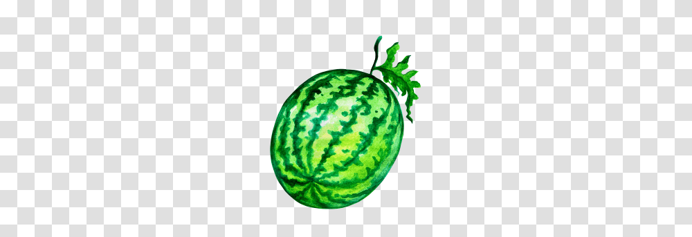 Water Melon Image, Plant, Fruit, Food, Watermelon Transparent Png