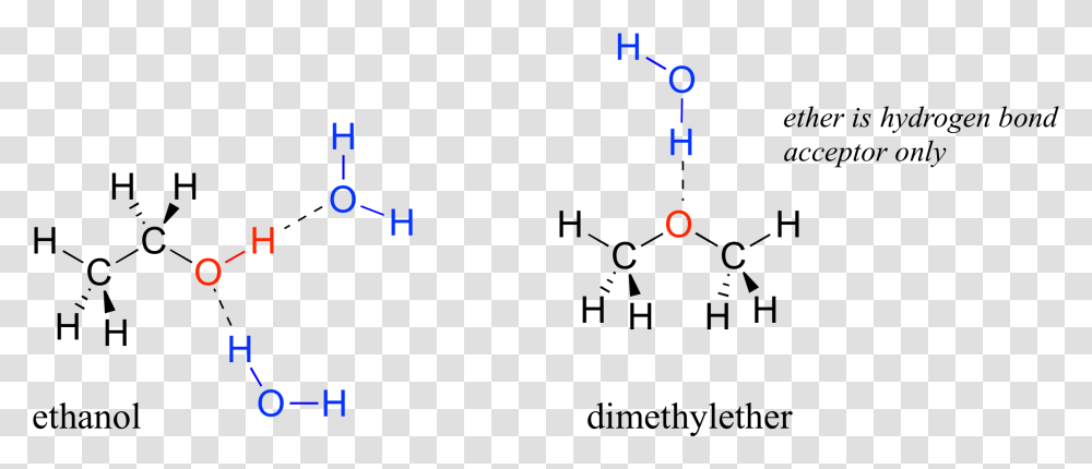 Water Molecule Clipart Hydrogen Bonding In Ethanol And Water, Plot, Number Transparent Png