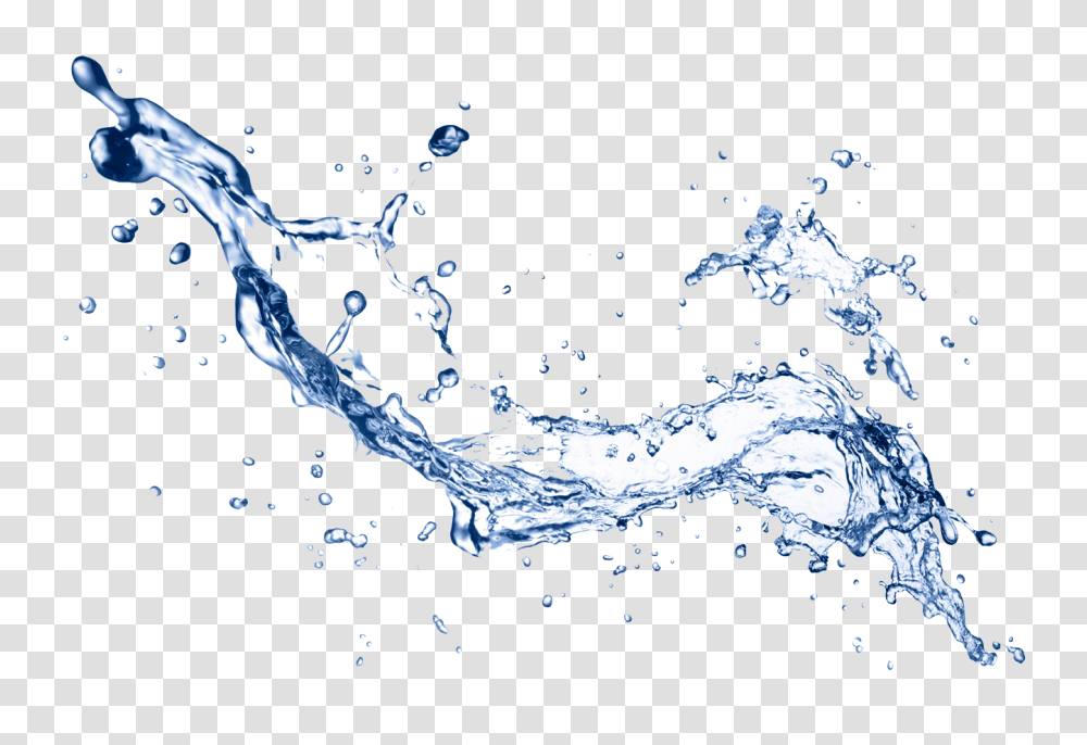 Water, Nature, Bird, Animal, Droplet Transparent Png