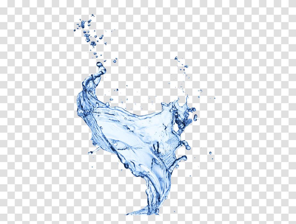 Water, Nature, Droplet, Bird, Animal Transparent Png