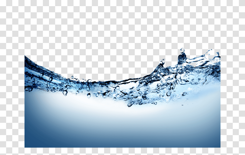 Water, Nature, Droplet, Outdoors, Bird Transparent Png