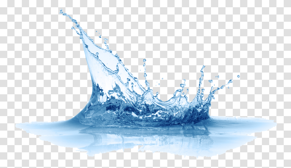 Water, Nature, Outdoors, Droplet, Bird Transparent Png