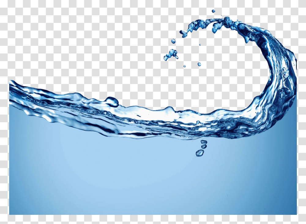 Water, Nature, Outdoors, Droplet, Plant Transparent Png