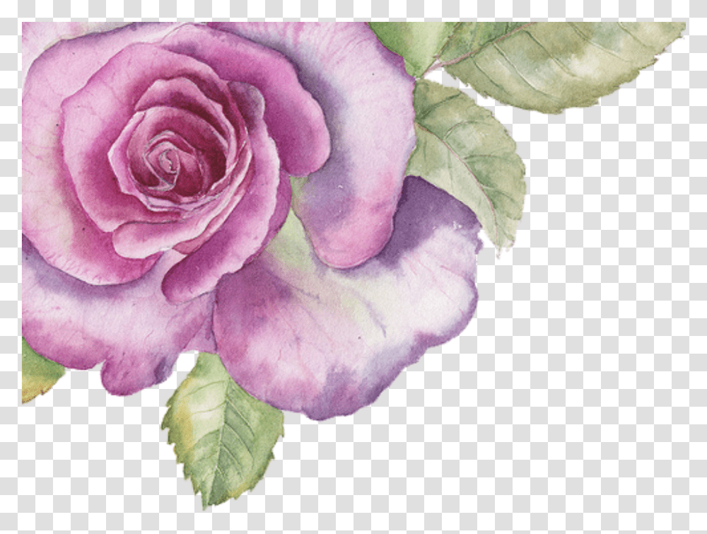 Water Paint Purple Floral, Plant, Flower, Blossom, Rose Transparent Png