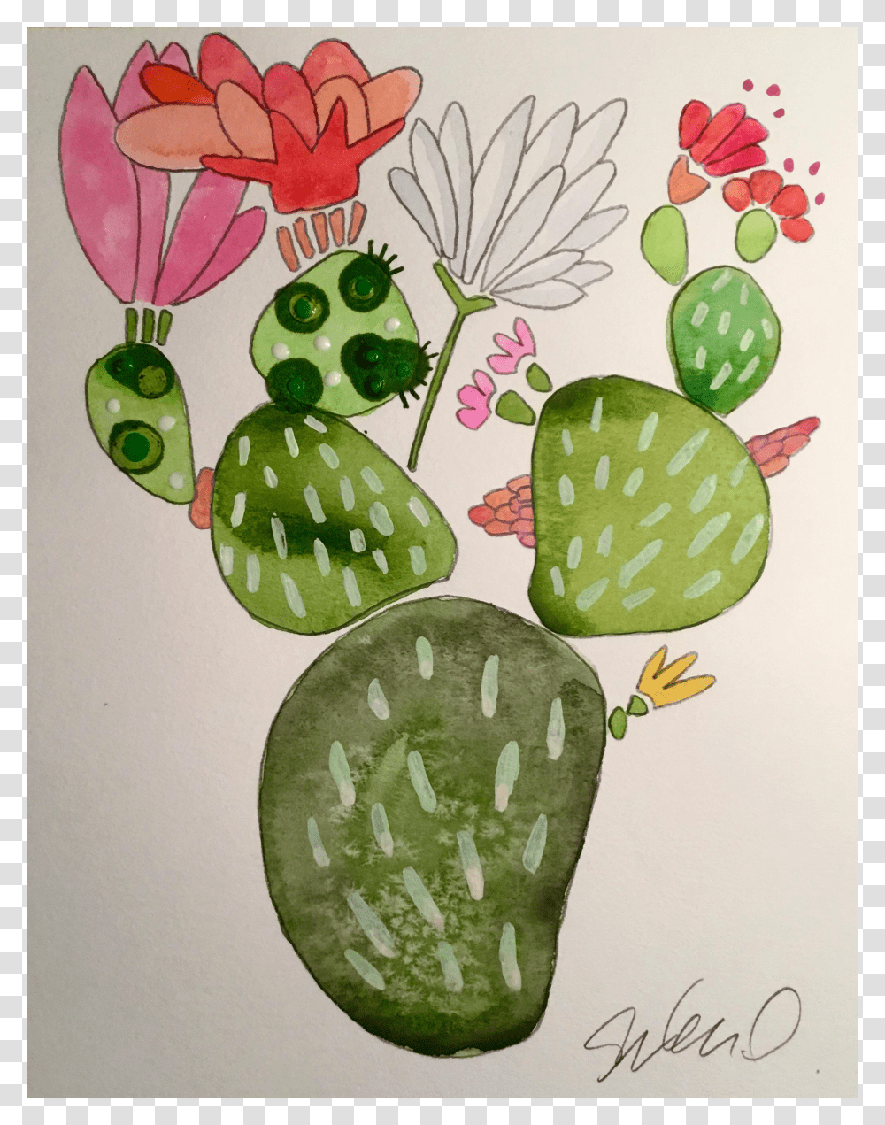 Water Painting Cactus Transparent Png