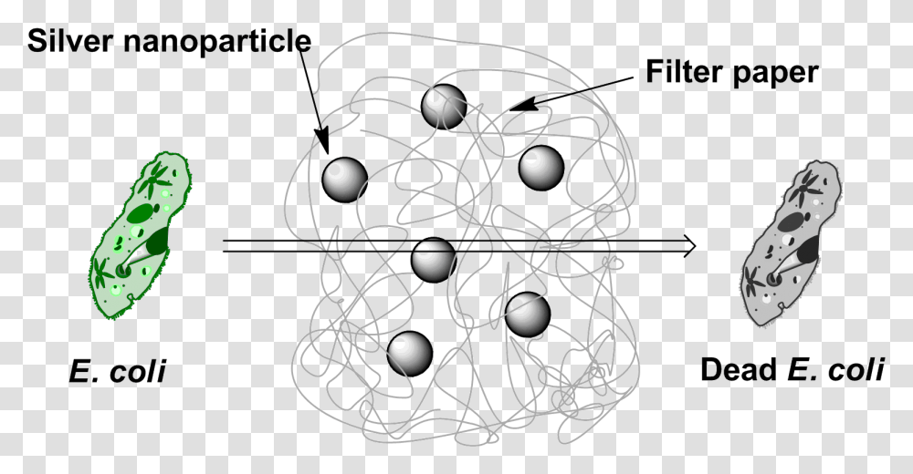 Water Particles Quantenphysik, Sphere, Shoe, Apparel Transparent Png