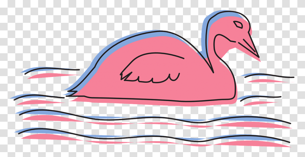 Water Pink Bird Free Vector Graphic On Pixabay Duck, Animal, Flamingo, Swan, Heart Transparent Png