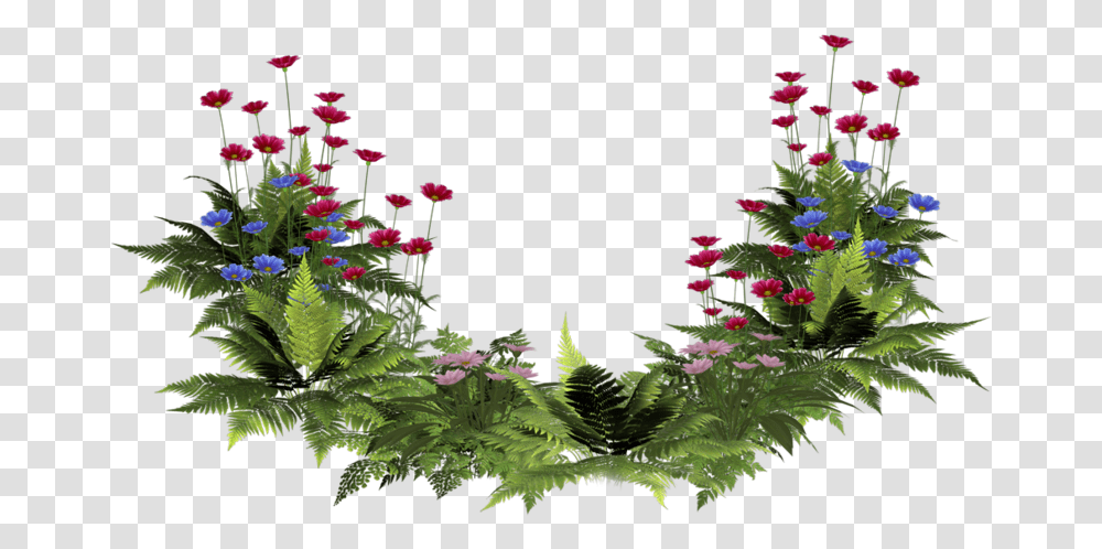 Water Plant Picture Flower Plants, Green, Blossom, Leaf, Petal Transparent Png