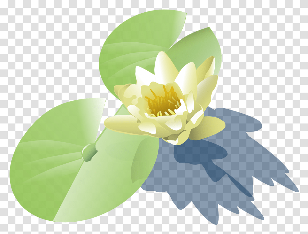 Water Plant Vector Clipart Lily Pad Clip Art, Flower, Blossom, Pond Lily, Anther Transparent Png
