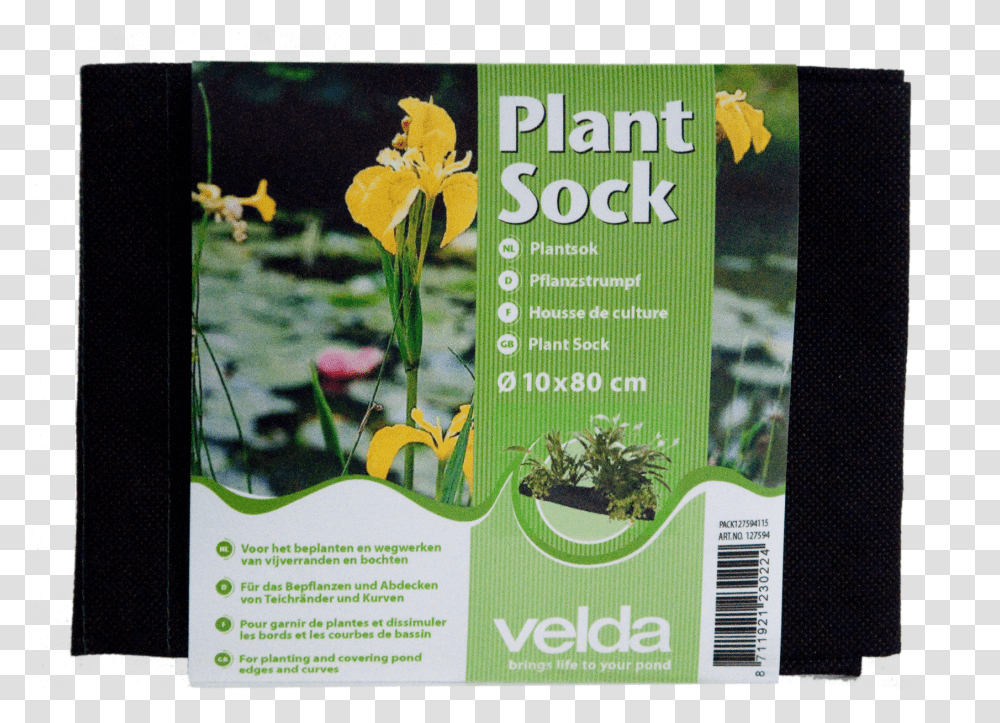 Water Plants Plant Sock Velda, Poster, Advertisement, Flyer, Paper Transparent Png