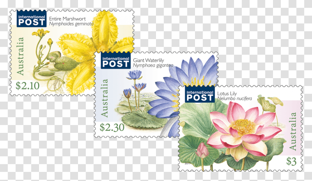 Water Plants Set Of Stamps Aquatic Plant, Postage Stamp, Flower, Blossom Transparent Png