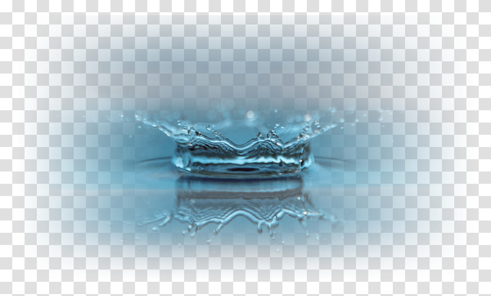 Water Reflection, Droplet, Turtle, Reptile, Sea Life Transparent Png