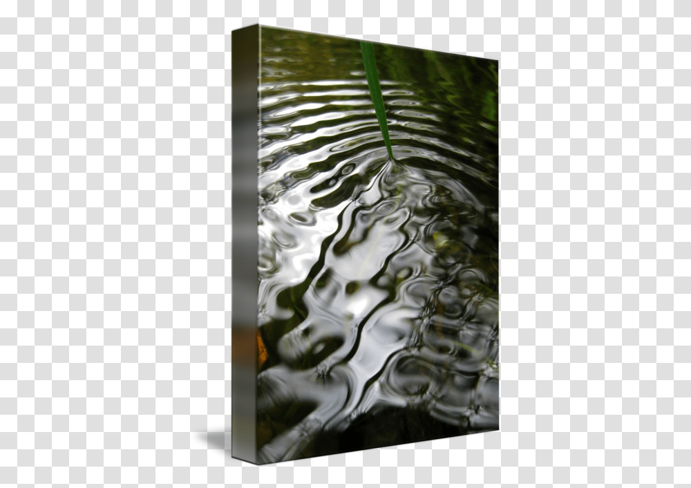 Water Ripple Zacharyallenpilz Photography By Zachary Allen Pilz Vertical, Outdoors, Nature Transparent Png
