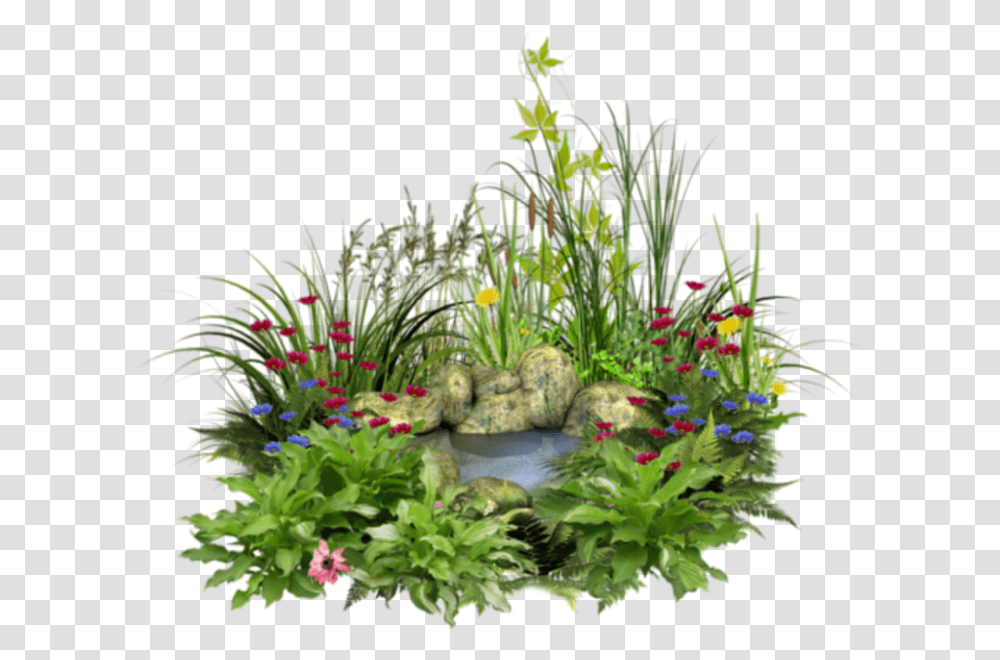 Water Rocks Flowers Grass Nature Flower Grass Water, Plant, Outdoors, Vegetation, Potted Plant Transparent Png