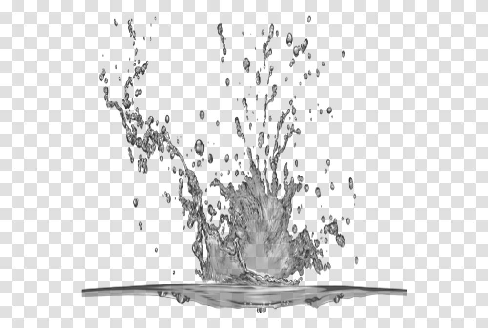 Water Splash Drops Waterdrops Monochrome, Outdoors, Droplet, Plant, Food Transparent Png