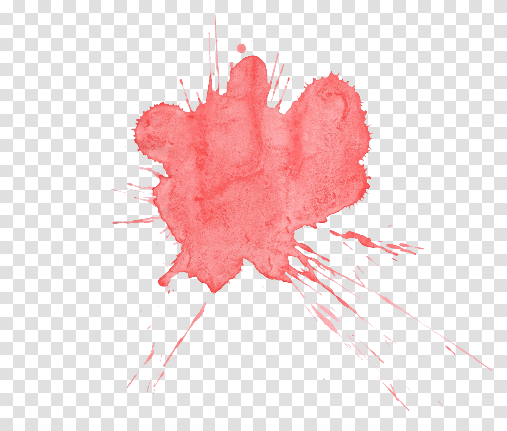 Water Splatter, Leaf, Plant Transparent Png