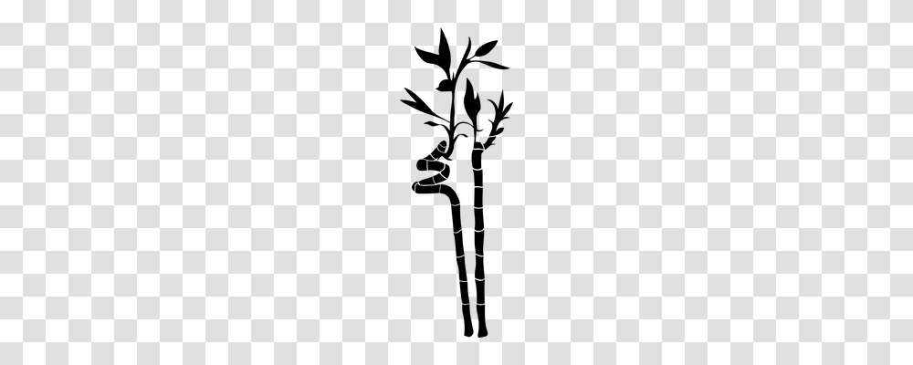 Water Sticks Nature, Gray, World Of Warcraft Transparent Png