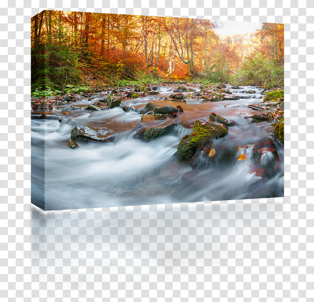Water Stream Ruscelli In Autunno, Nature, Outdoors, Creek, River Transparent Png