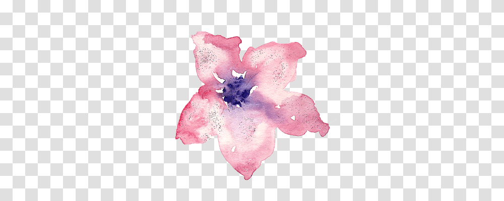 Watercolor Petal, Flower, Plant, Leaf Transparent Png