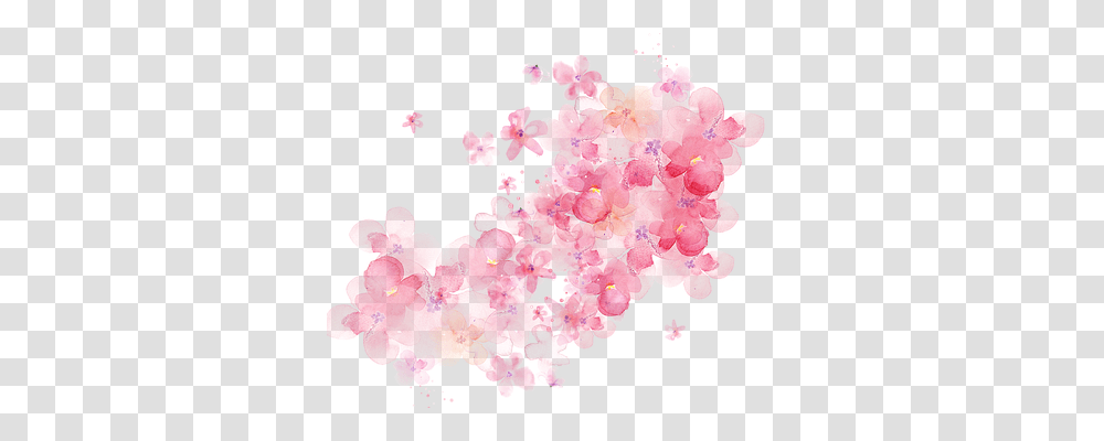 Watercolor Nature, Plant, Flower, Blossom Transparent Png