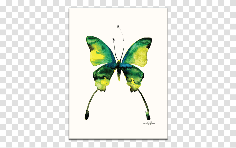 Watercolor Abstract Butterfly, Bird, Animal, Insect, Invertebrate Transparent Png