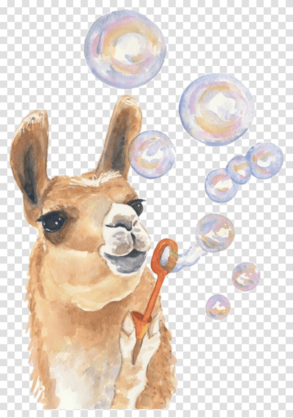 Watercolor Alpaca Llama Bubbles Blowing Babyanimals Llama Painting, Fungus Transparent Png