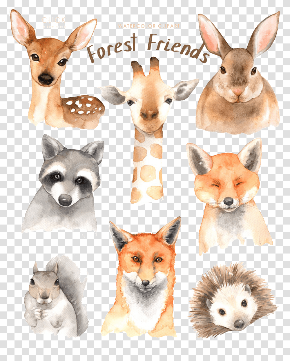 Watercolor Animal Material Forest Friend Watercolor, Dog, Pet, Canine, Mammal Transparent Png