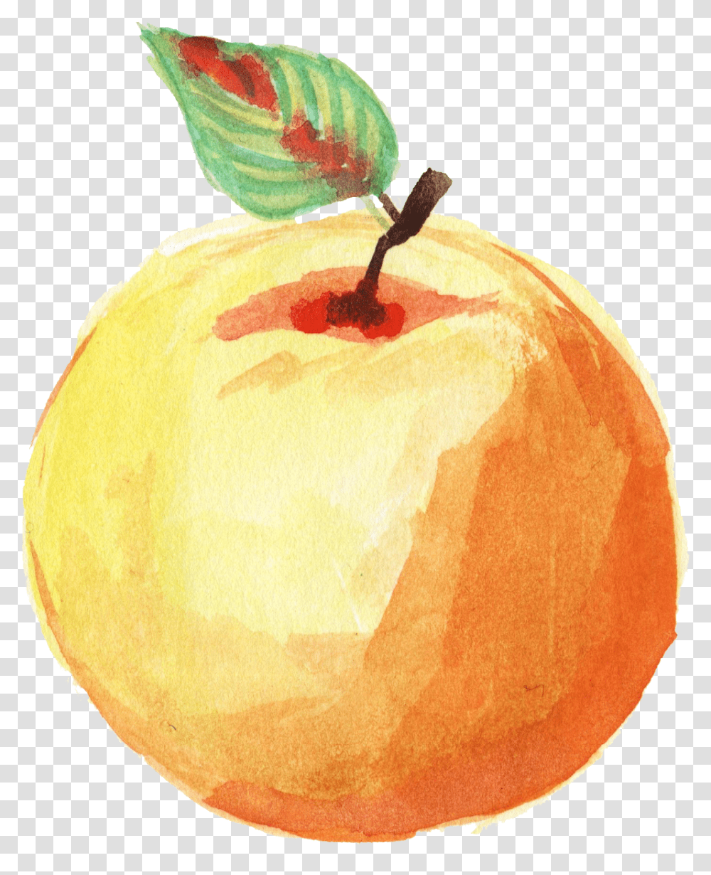 Watercolor Apple Onlygfxcom Watercolor Fruit Background, Plant, Food, Produce, Apricot Transparent Png