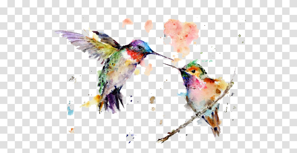 Watercolor Art Painting Drawing Wildlife Watercolor Paintings, Hummingbird, Animal, Bee Eater, Chicken Transparent Png