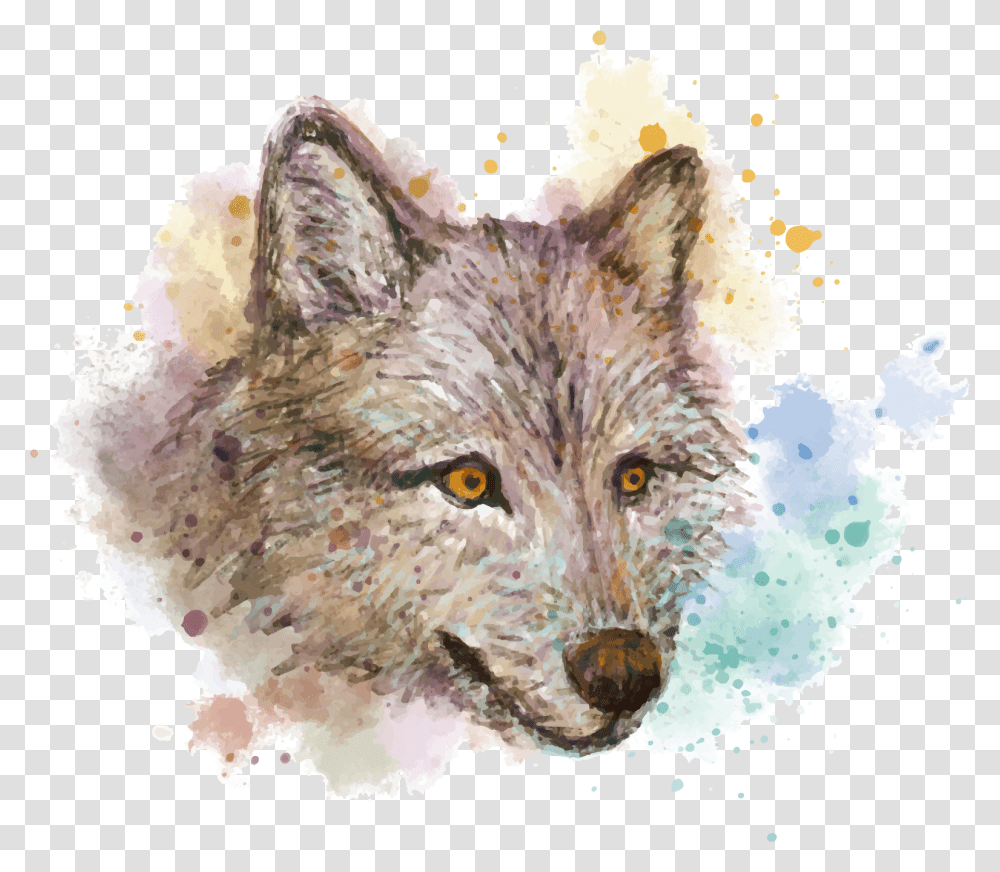 Watercolor Background Wolf, Fish, Animal, Mammal, Bird Transparent Png