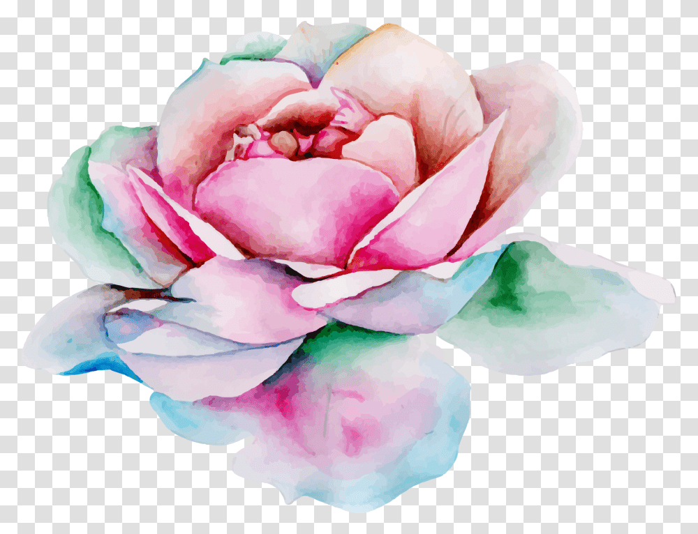 Watercolor Banner, Rose, Flower, Plant, Blossom Transparent Png