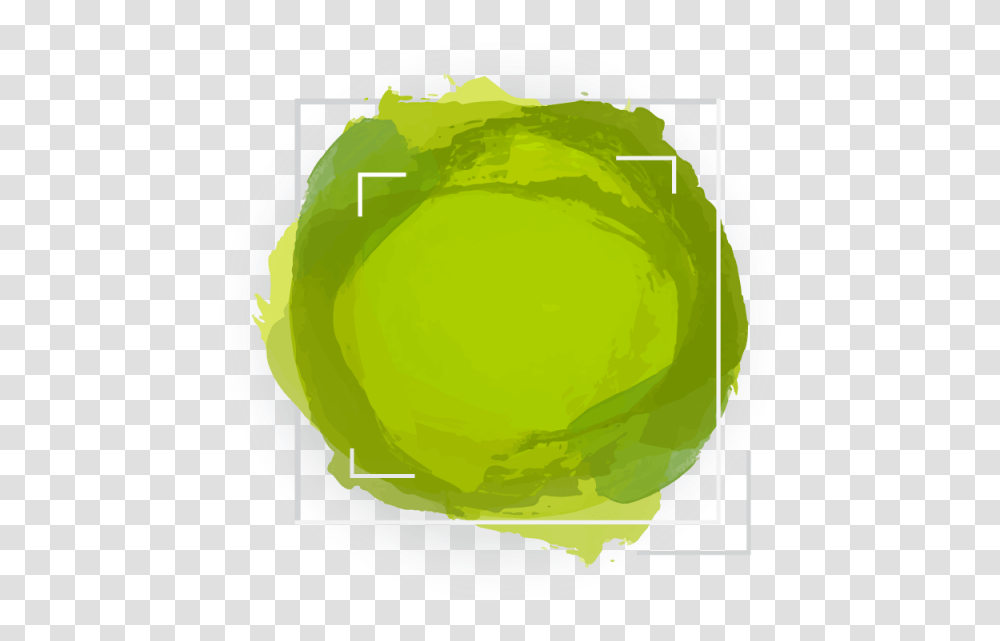 Watercolor Banner, Sphere, Plant, Tennis Ball, Beverage Transparent Png
