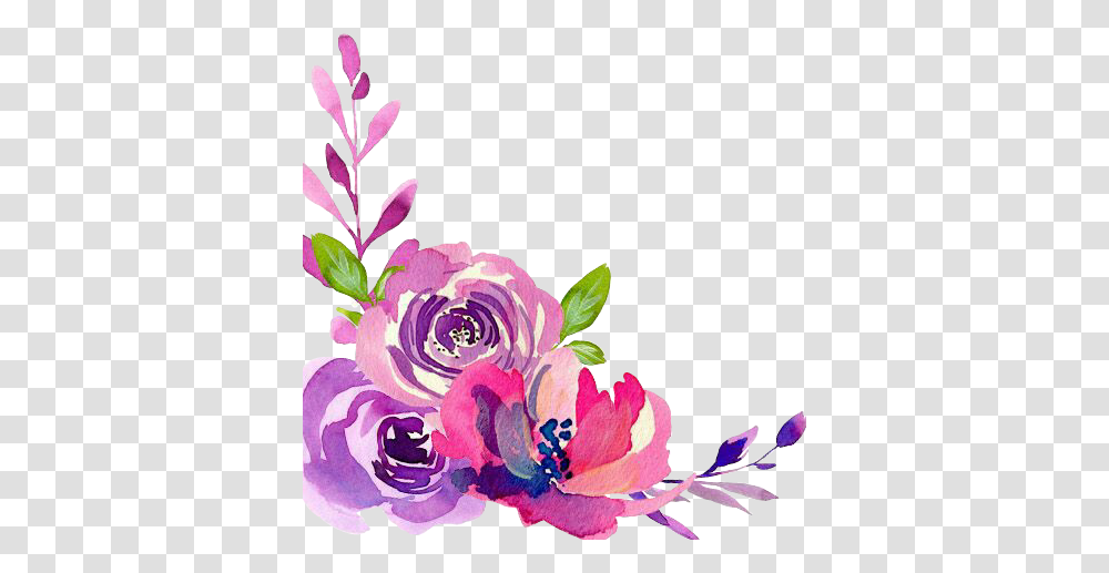Watercolor Beautiful Flowers Purple Fushia Pink Roses, Plant, Blossom, Floral Design, Pattern Transparent Png