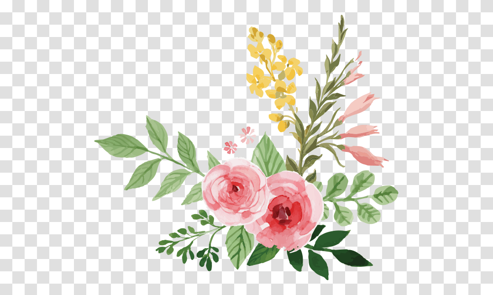 Watercolor Beauty El Cuaderno Watercolor Flowers Background, Plant, Rose, Petal, Floral Design Transparent Png