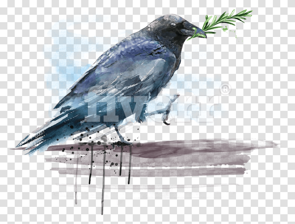 Watercolor Bird American Crow, Animal, Jay, Sphere, Blue Jay Transparent Png