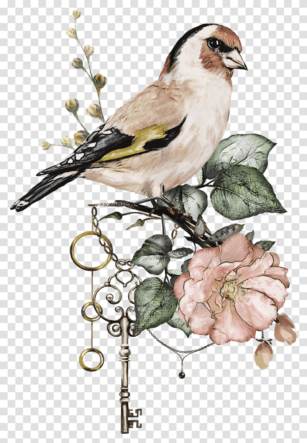 Watercolor Bird Birds With Flowers, Animal, Plant, Fruit, Food Transparent Png