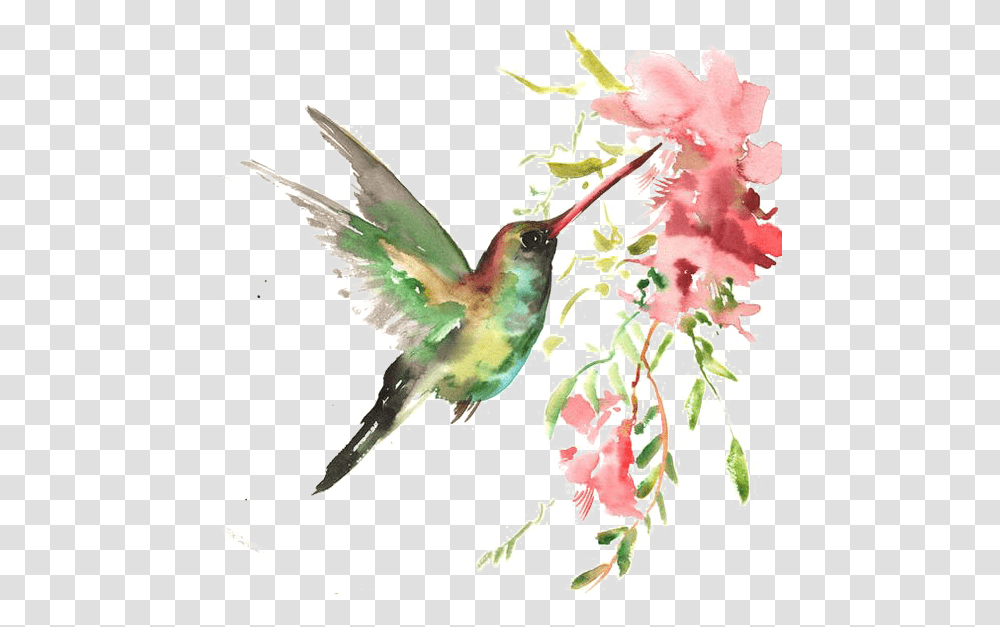 Watercolor Bird Download Hq Clipart Beija Flor Em Aquarela, Bee Eater, Animal, Hummingbird, Plant Transparent Png