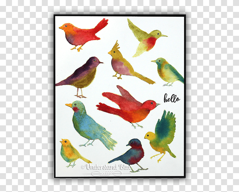 Watercolor Bird European Robin, Animal, Canary, Chicken, Poultry Transparent Png